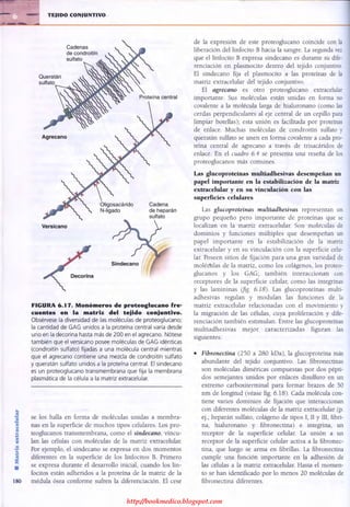 http://bookmedico.blogspot.com
 