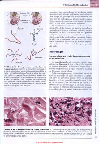 http://bookmedico.blogspot.com
 