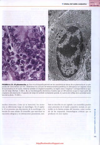 http://bookmedico.blogspot.com
 