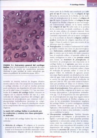 http://bookmedico.blogspot.com
 