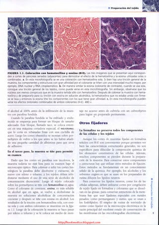 http://bookmedico.blogspot.com
 
