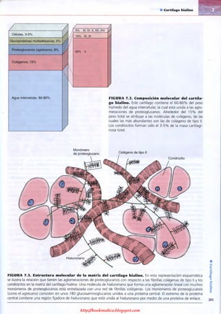 http://bookmedico.blogspot.com
 