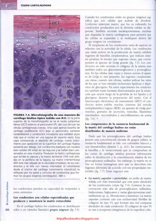 http://bookmedico.blogspot.com
 