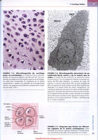 http://bookmedico.blogspot.com
 
