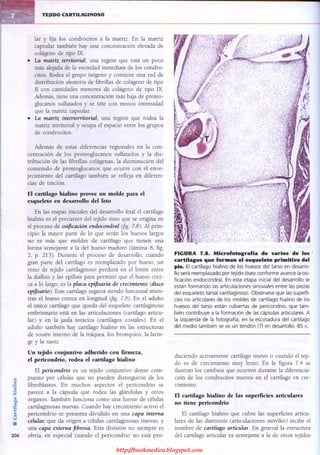 http://bookmedico.blogspot.com
 