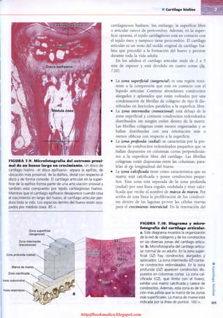 http://bookmedico.blogspot.com
 