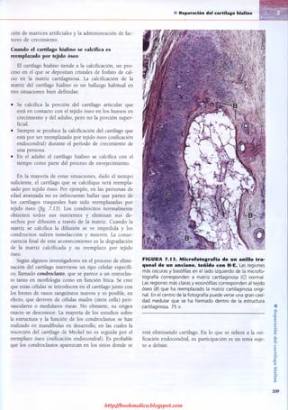 http://bookmedico.blogspot.com
 