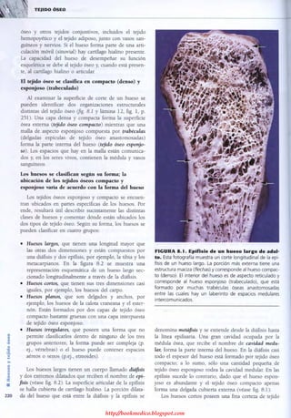 http://bookmedico.blogspot.com
 