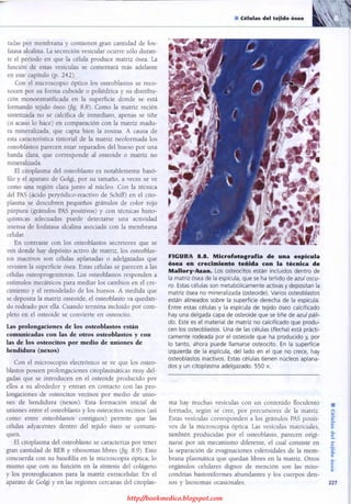 http://bookmedico.blogspot.com
 