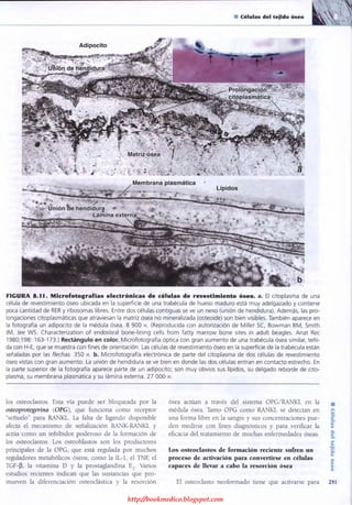 http://bookmedico.blogspot.com
 