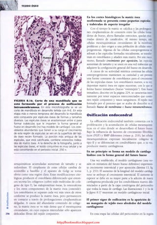 http://bookmedico.blogspot.com
 
