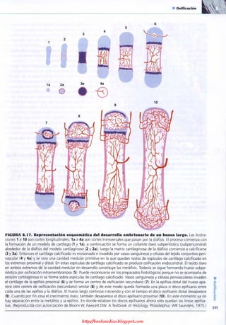 http://bookmedico.blogspot.com
 
