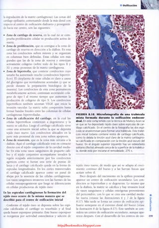 http://bookmedico.blogspot.com
 