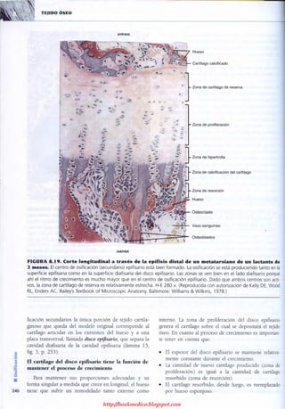 http://bookmedico.blogspot.com
 