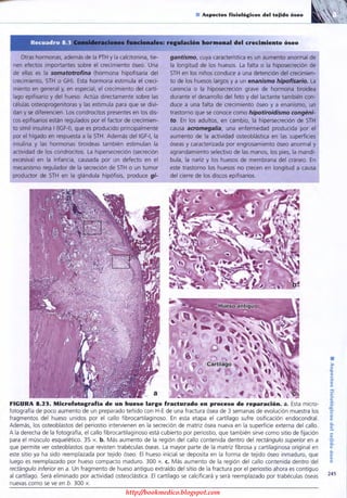 http://bookmedico.blogspot.com
 