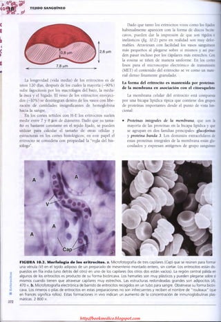 http://bookmedico.blogspot.com
 