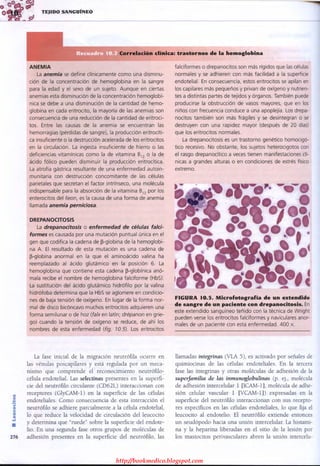 http://bookmedico.blogspot.com
 