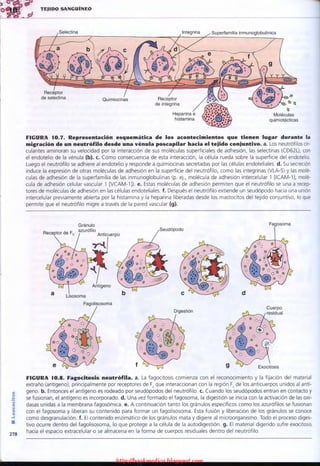 http://bookmedico.blogspot.com
 