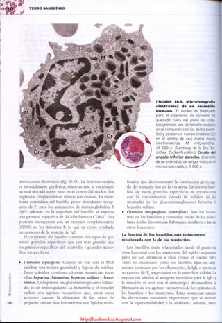 http://bookmedico.blogspot.com
 