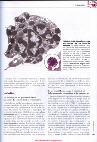 http://bookmedico.blogspot.com
 