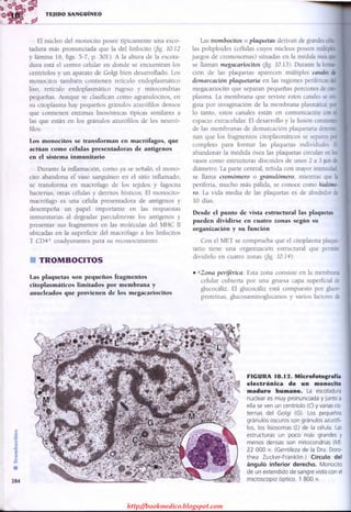 http://bookmedico.blogspot.com
 