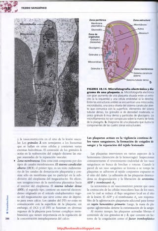http://bookmedico.blogspot.com
 