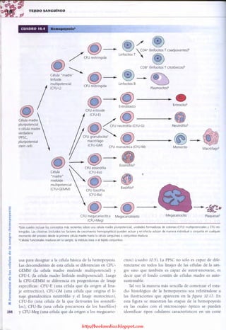 http://bookmedico.blogspot.com
 