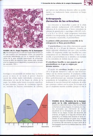 http://bookmedico.blogspot.com
 