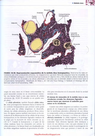 http://bookmedico.blogspot.com
 