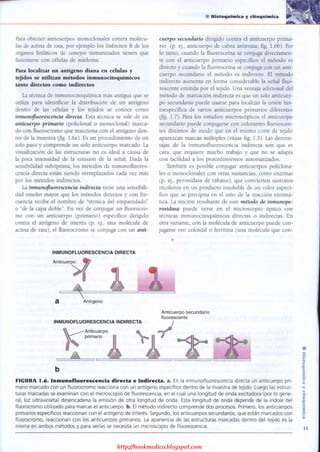 http://bookmedico.blogspot.com
 