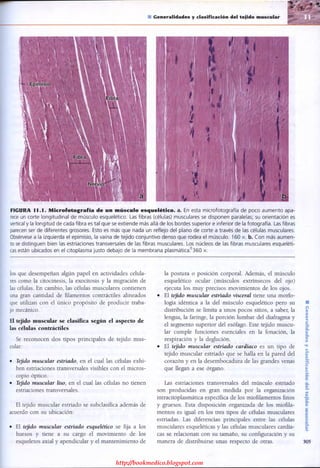 http://bookmedico.blogspot.com
 