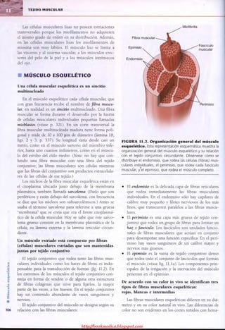 http://bookmedico.blogspot.com
 