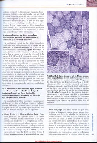 http://bookmedico.blogspot.com
 