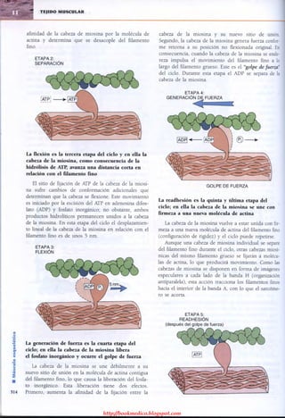 http://bookmedico.blogspot.com
 
