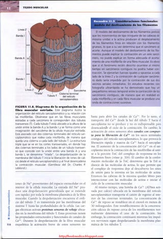 http://bookmedico.blogspot.com
 
