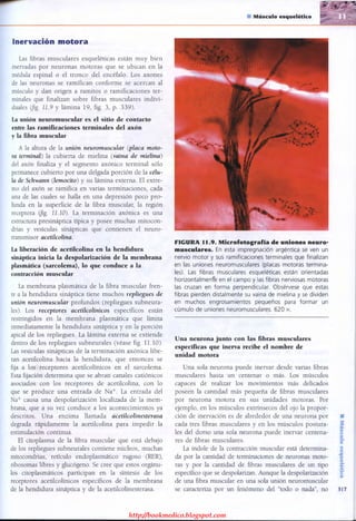 http://bookmedico.blogspot.com
 