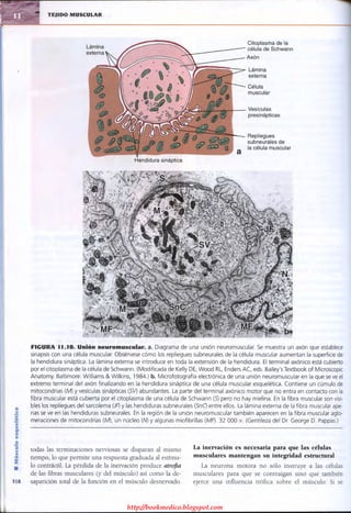 http://bookmedico.blogspot.com
 