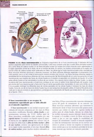 http://bookmedico.blogspot.com
 