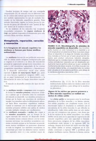 http://bookmedico.blogspot.com
 