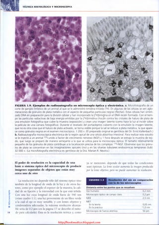 http://bookmedico.blogspot.com
 