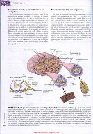 http://bookmedico.blogspot.com
 