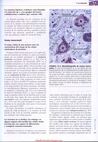 http://bookmedico.blogspot.com
 