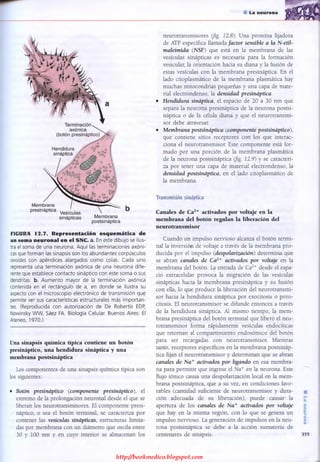 http://bookmedico.blogspot.com
 