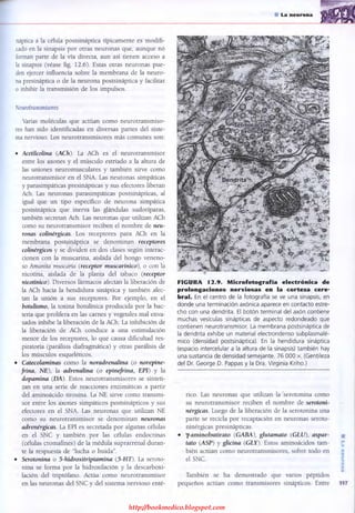 http://bookmedico.blogspot.com
 