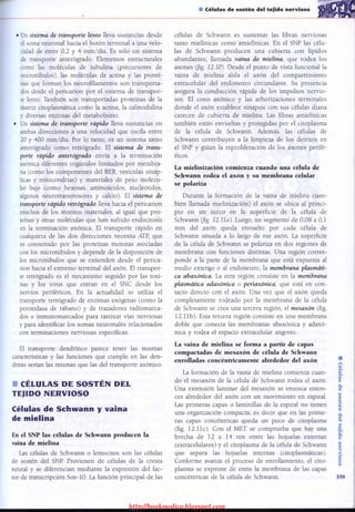 http://bookmedico.blogspot.com
 