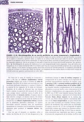 http://bookmedico.blogspot.com
 