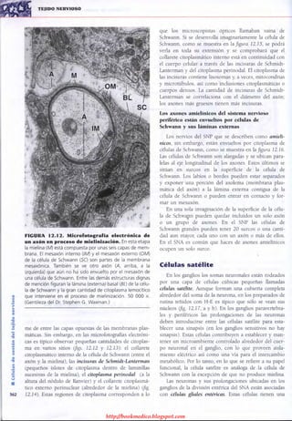 http://bookmedico.blogspot.com
 