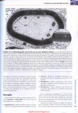 http://bookmedico.blogspot.com
 
