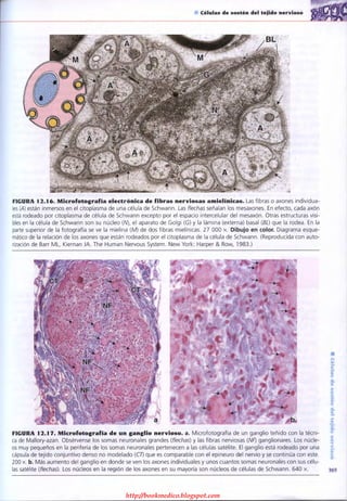 http://bookmedico.blogspot.com
 