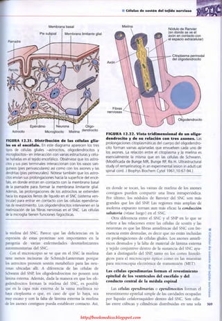 http://bookmedico.blogspot.com
 